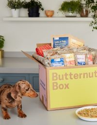 Dog next to a box of dog products