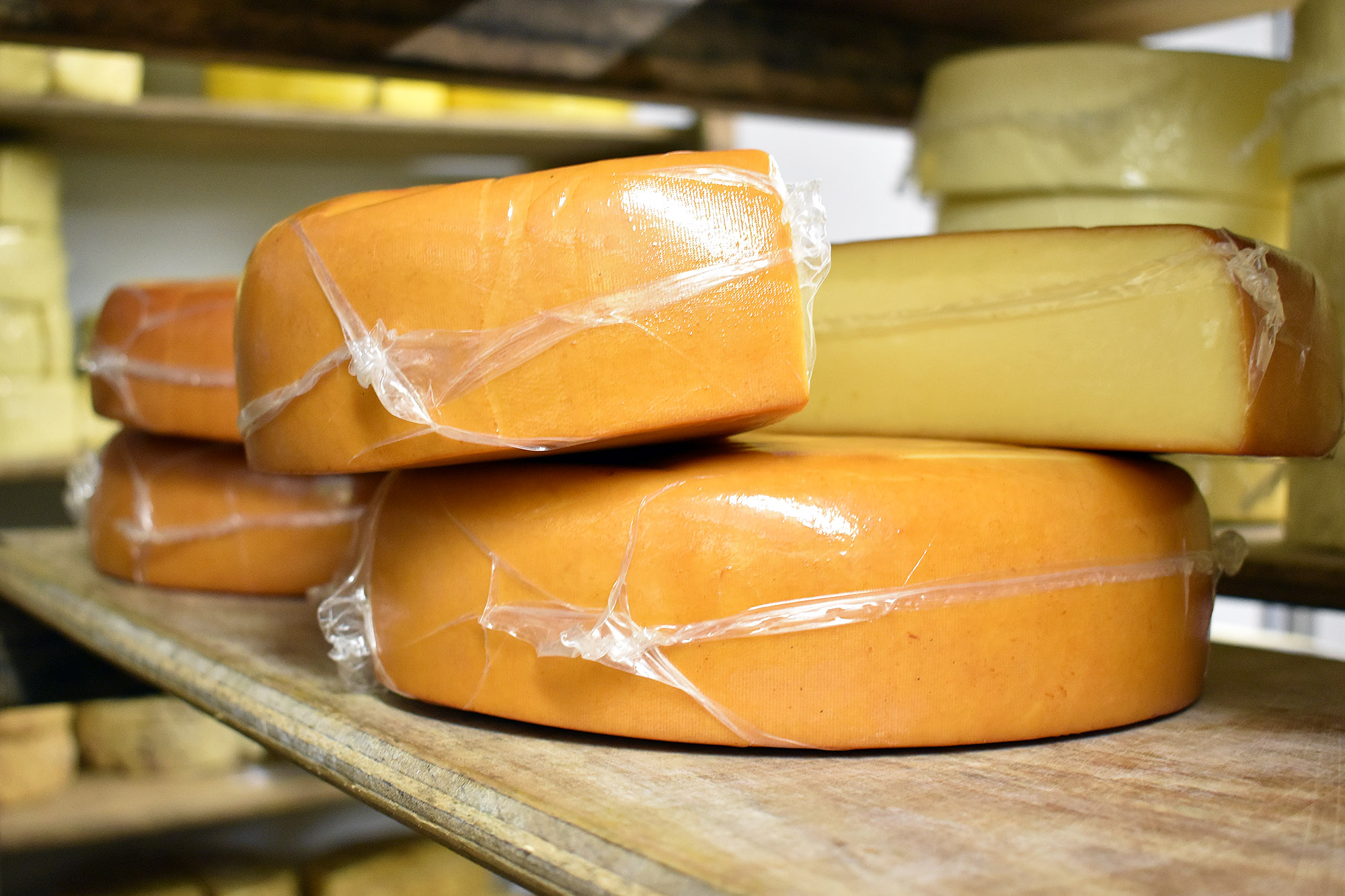 Large circular blocks of cheese